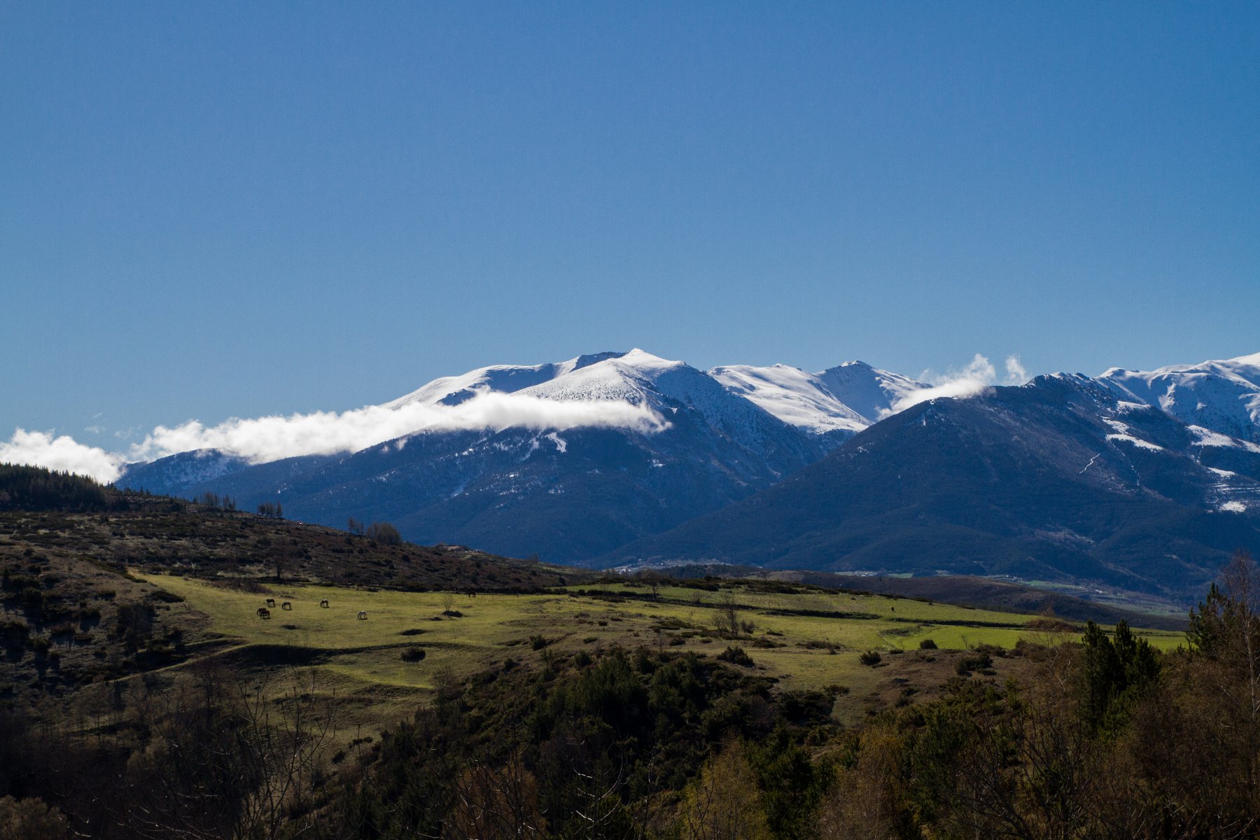 Paysage printemps   Targa